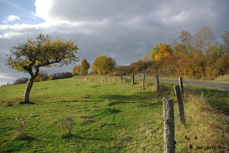 photographie "automne &agrave; Ch&acirc;teau-Vou&eacute;" par Jo&euml;l LINTZ