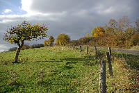 automne &agrave; ch&acirc;teau-vou&eacute;