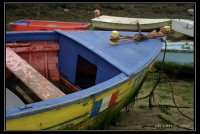 barques &agrave; Lampol