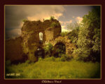 chateau-vou&eacute; lorraine photographie