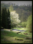 paysage belge photo
