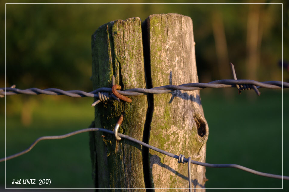 photographie "poteau" Copyright &copy; Jo&euml;l Lintz