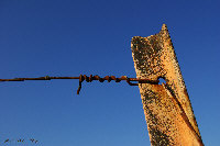 photographie poteau vigne
